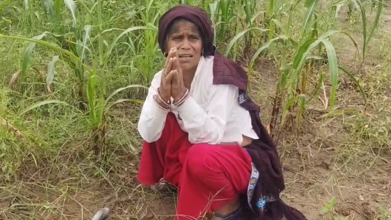 खेती ही हमारी रोजी-रोटी है... अब क्या करें, बारिश में फसल खराब होने पर हाथ जोड़कर गुहार लगा रही किसान