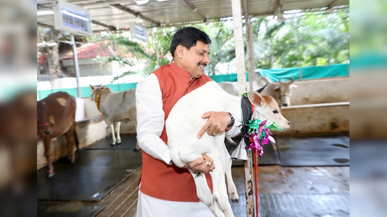 मुख्यमंत्री निवास की गौशाला में हुआ बछिया का जन्म, CM ने नाम रखा 'कमला' 