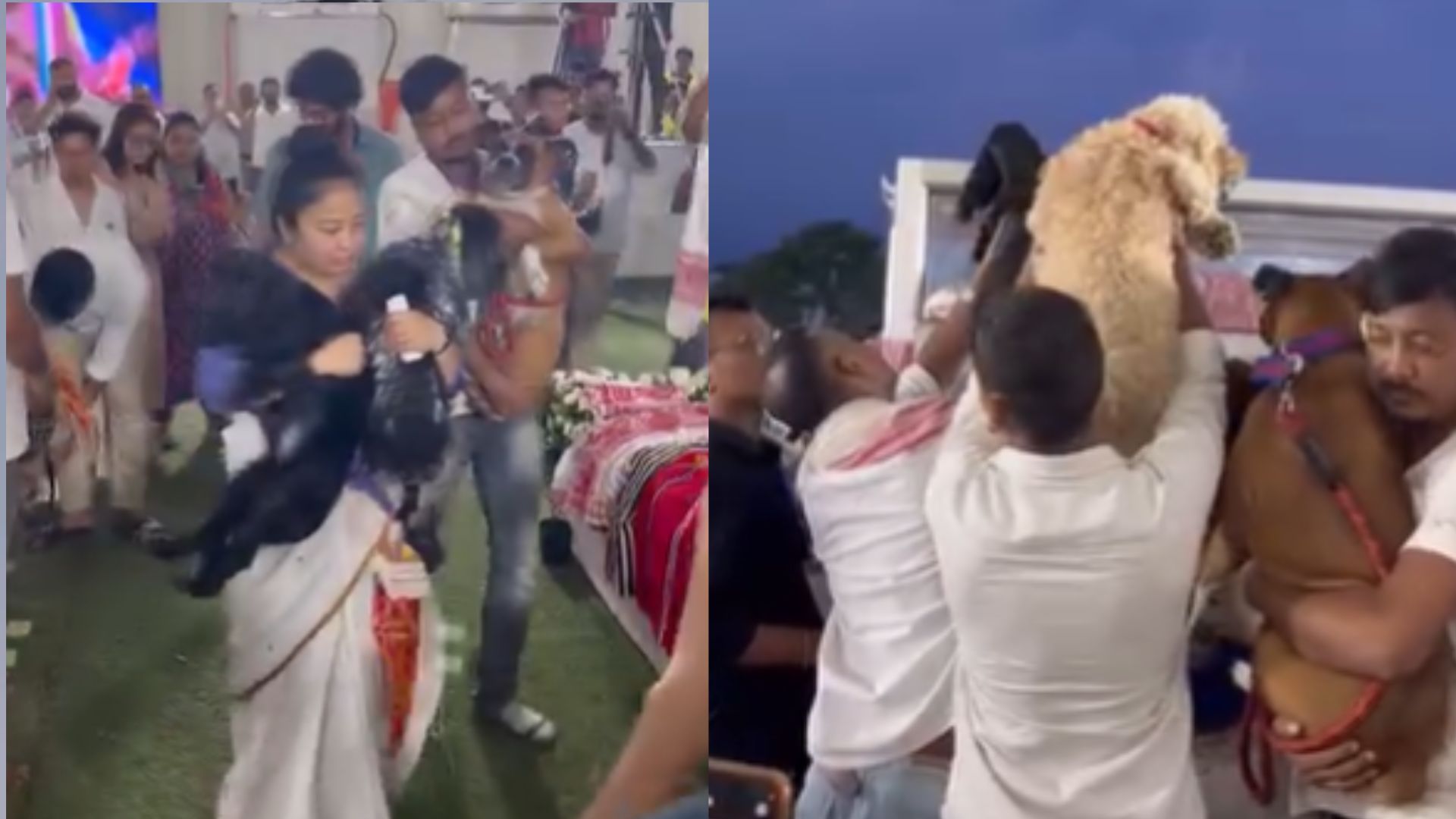 Zubeen Garg's Wife Takes Their Dogs To See His Coffin For Final Goodbye. See Video