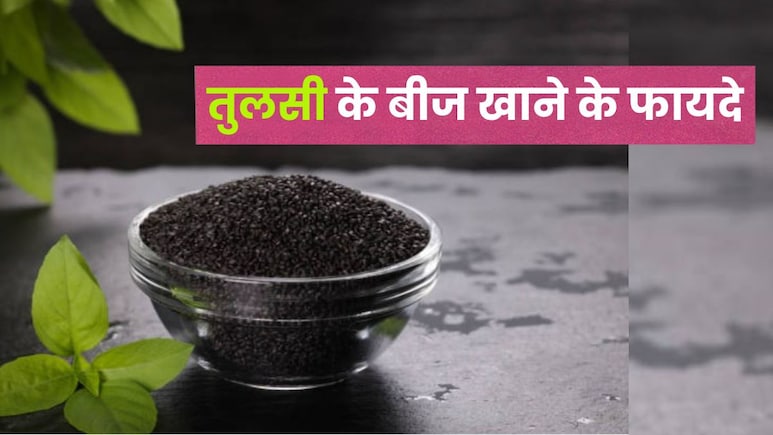 तुलसी के बीज खाने से मिलते हैं चौंकाने वाले फायदे, हार्वर्ड डॉक्टर ने इसे बताया सेहत का खज़ाना