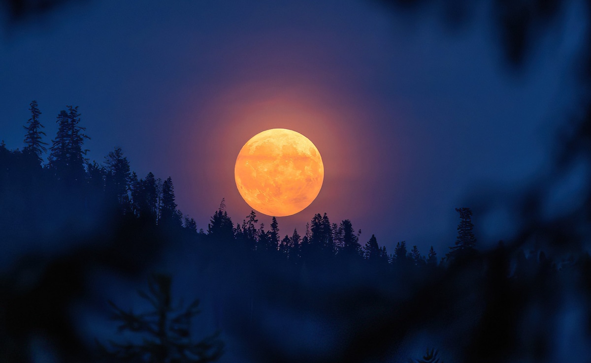 Rare 'Harvest Moon' To Light Up October Sky: Will It Be Visible In ...