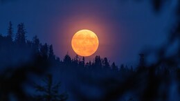 Rare 'Harvest Moon' To Light Up October Sky: Will It Be Visible In India?