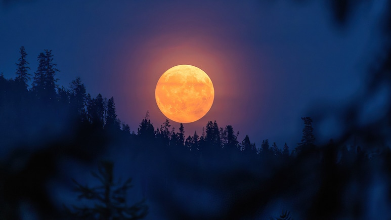 Rare 'Harvest Moon' To Light Up October Sky: Will It Be Visible In India?