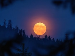 Rare 'Harvest Moon' To Light Up October Sky: Will It Be Visible In India? Rare 'Harvest Moon' To Light Up October Sky: Will It Be Visible In India?
