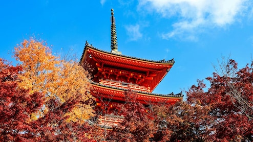 Visiting Japan This Autumn? Here's Everything Worth Seeing, Eating, And Doing