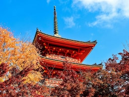 Visiting Japan This Autumn? Here's Everything Worth Seeing, Eating, And Doing Visiting Japan This Autumn? Here's Everything Worth Seeing, Eating, And Doing