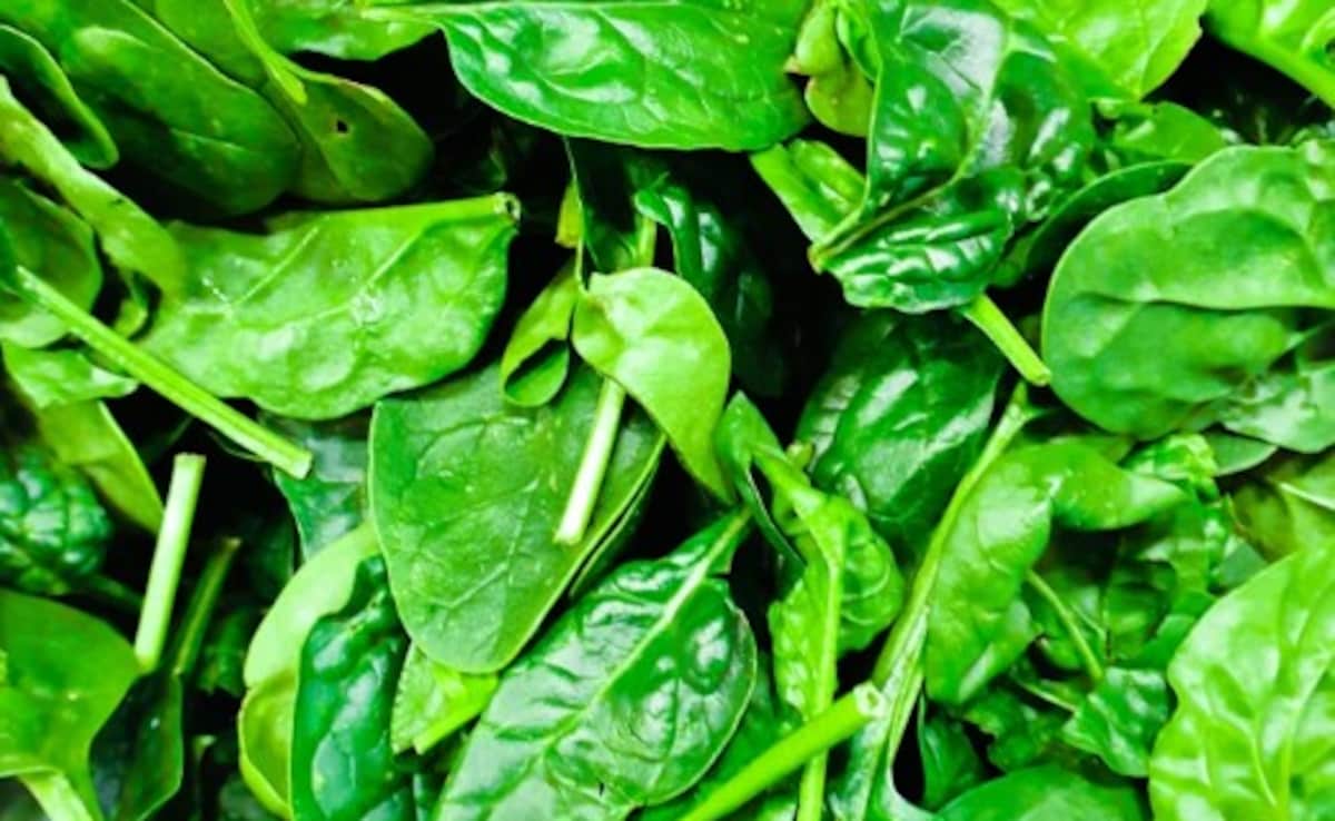 Latest and Breaking News on NDTV Latest and Breaking News on NDTV