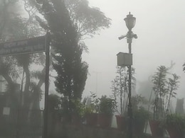 Rajasthan Rain: बारिश ने बनाया माउंट आबू को जन्नत, दिन में छाया घना कोहरा, पर्यटकों के चेहरे खिले Rajasthan Rain: बारिश ने बनाया माउंट आबू को जन्नत, दिन में छाया घना कोहरा, पर्यटकों के चेहरे खिले