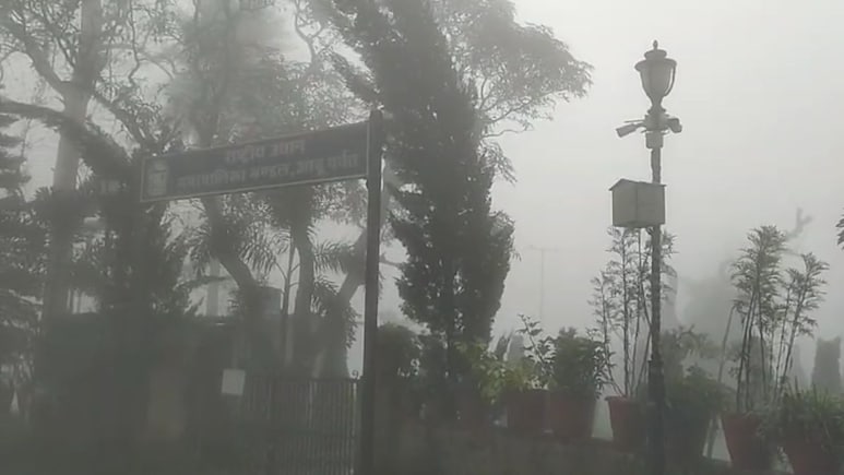 Rajasthan Rain: बारिश ने बनाया माउंट आबू को जन्नत, दिन में छाया घना कोहरा, पर्यटकों के चेहरे खिले Rajasthan Rain: बारिश ने बनाया माउंट आबू को जन्नत, दिन में छाया घना कोहरा, पर्यटकों के चेहरे खिले