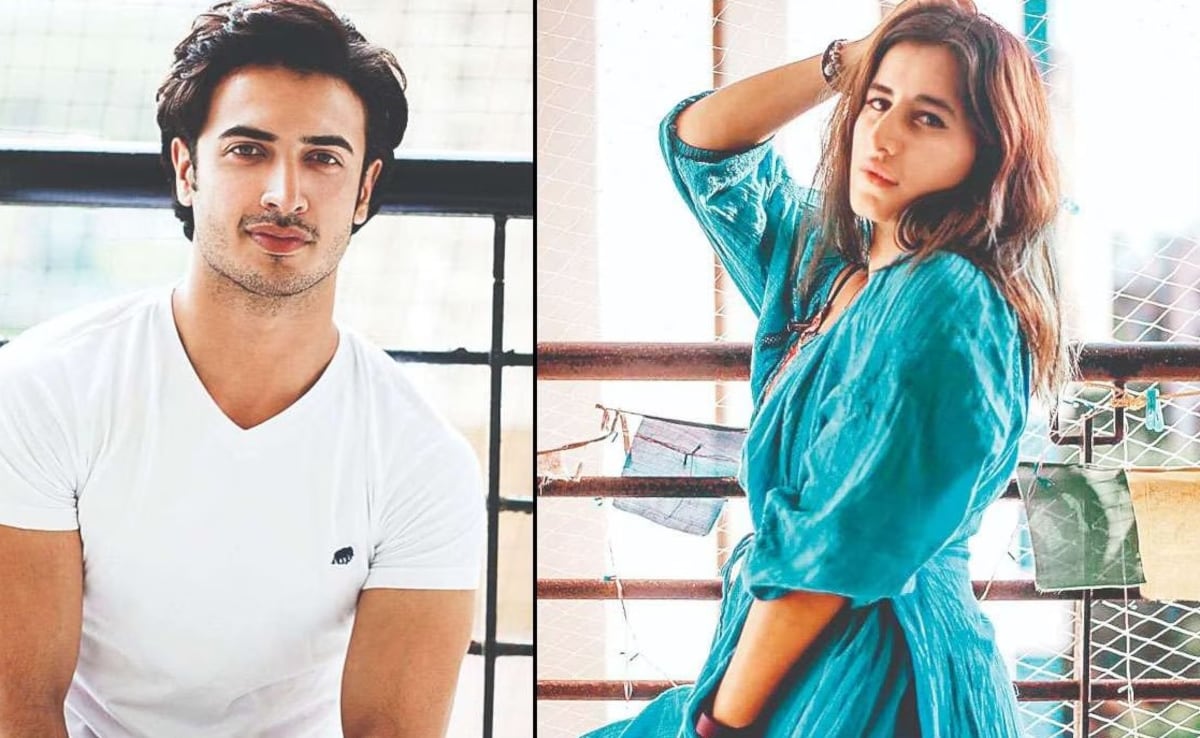 Saloni Chopra Slams Songs Of Paradise Makers Over Casting Her Alleged Abuser Zain Khan Durrani: "He Choked Me, Dragged Me Out Of The House"