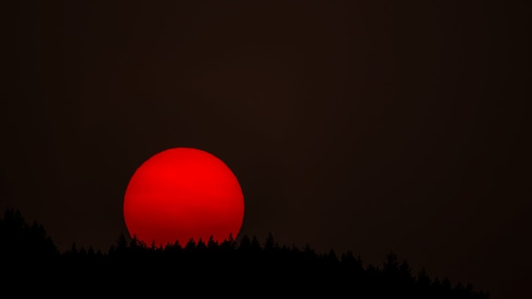 Lunar Eclipse 2025 In India: 5 Luxurious Spots In Rajasthan To Watch The Blood Moon Lunar Eclipse 2025 In India: 5 Luxurious Spots In Rajasthan To Watch The Blood Moon