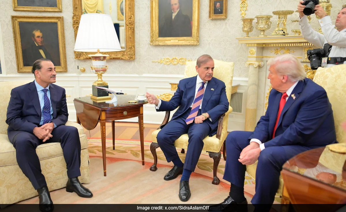 "They're Incredible": Trump Praises Pak PM, Asim Munir For Gaza Plan Support