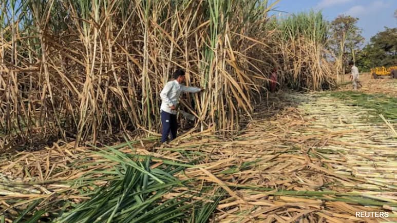 Government Lifts Cap On Ethanol Production From Molasses, Sugarcane Juice For 2025-26 Government Lifts Cap On Ethanol Production From Molasses, Sugarcane Juice For 2025-26