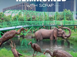 Animal Sculptures, Illuminates Pathways, Food Court: All About Noida's First Waste-To-Wonder Jungle Trail Park Animal Sculptures, Illuminates Pathways, Food Court: All About Noida's First Waste-To-Wonder Jungle Trail Park