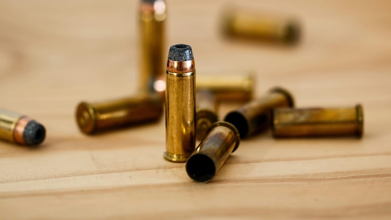 US Man Charged After Bullet Meant For Bird Kills Daughter Days Before Her Birthday