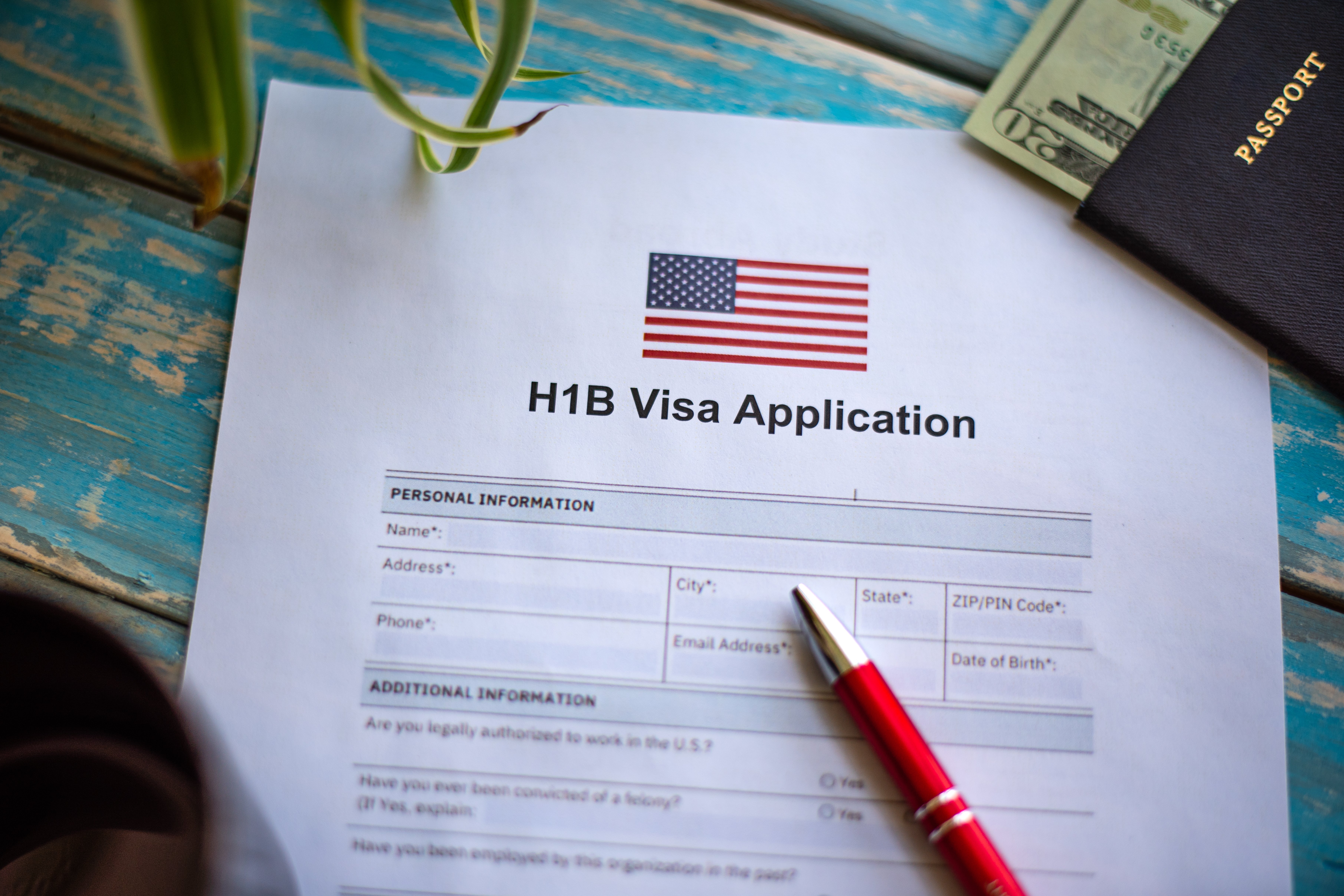 H-1B Visa Fee Hike To Disrupt Indian Families, Full Implications Being Studied: MEA