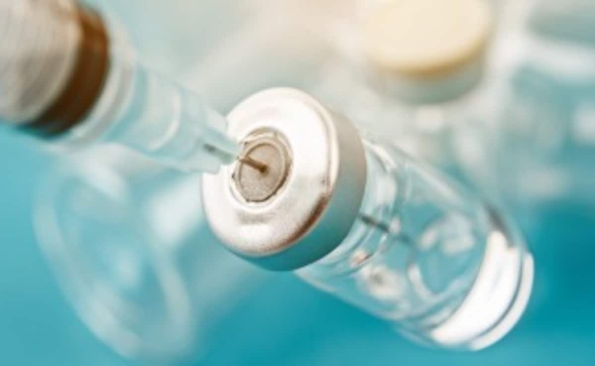 Fake Rabies Vaccine Advisory Explained: What Australia Warned, What India Clarified