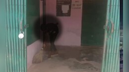 स्कूल के चपरासी की दबंगई, नाबालिग छात्रा से हर माह 300 रुपये में लगवाता था झाड़ू, खुलासा होते ही जांच शुरू
