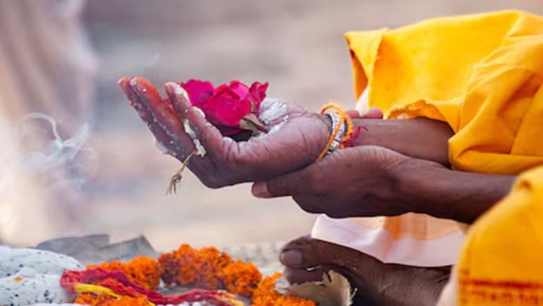 Pitru Paksha 2025: पितृ दोषापासून मुक्ती मिळवायची आहे? करा 'हे' 7 सोपे उपाय Pitru Paksha 2025: पितृ दोषापासून मुक्ती मिळवायची आहे? करा 'हे' 7 सोपे उपाय