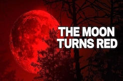 'Blood Moon' Rises, Rare Total Lunar Eclipse Lights Up The Sky 'Blood Moon' Rises, Rare Total Lunar Eclipse Lights Up The Sky