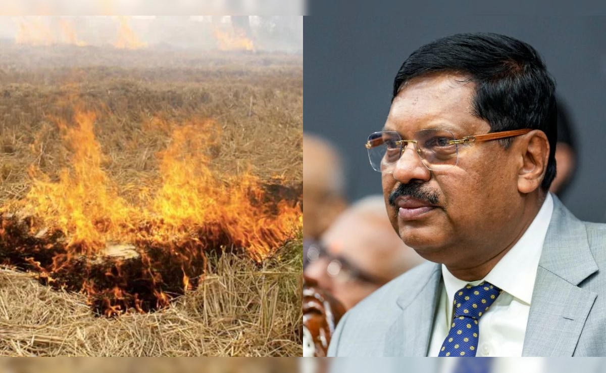 'Send A Few Behind Bars': Supreme Court On Farmers Burning Stubble 'Send A Few Behind Bars': Supreme Court On Farmers Burning Stubble