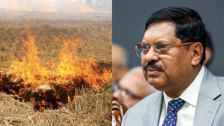 "Send A Few Behind Bars": Supreme Court On Farmers Burning Stubble "Send A Few Behind Bars": Supreme Court On Farmers Burning Stubble