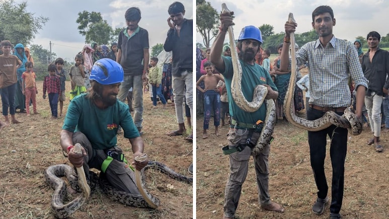 50 फीट गहरे कुंए में दो विशाल अजगर... 8 महीने महीने बाद निकले बाहर, ग्रामीणों में थी दहशत 50 फीट गहरे कुंए में दो विशाल अजगर... 8 महीने महीने बाद निकले बाहर, ग्रामीणों में थी दहशत