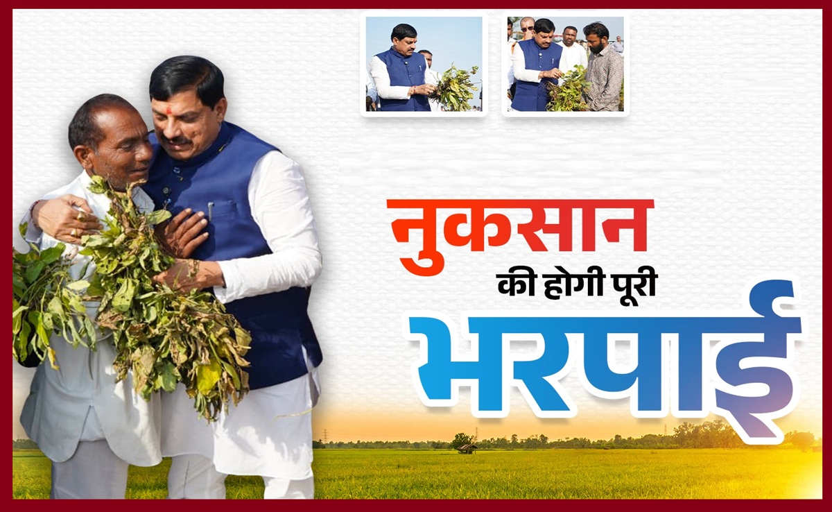MP Soybean Crop: फसल खराब; चिंता न करें किसान, CM ने कहा-प्रभावित हर खेत का होगा सर्वे, सरकार करेगी मदद