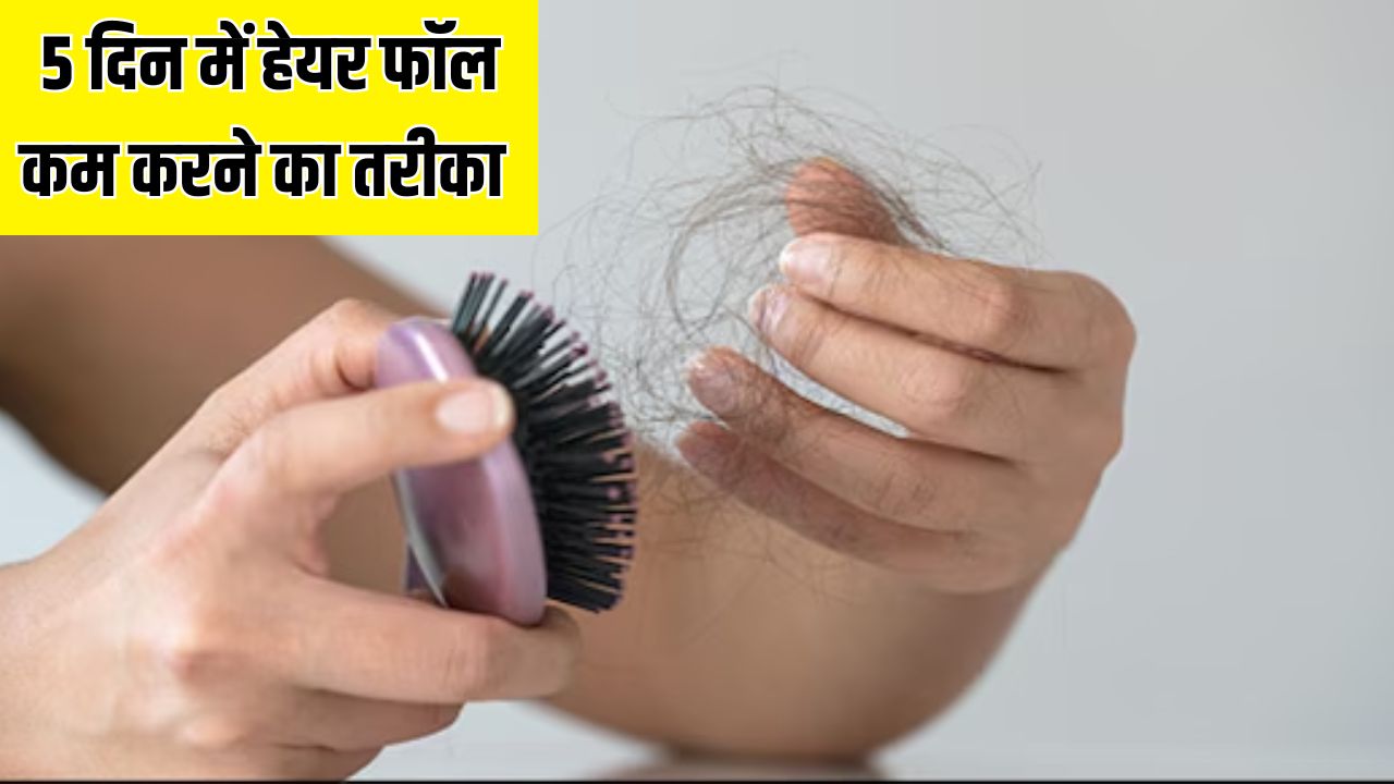 अचानक झड़ने लगे हैं बाल? न्यूट्रिशनिस्ट ने बताया बस 5 दिनों तक कर लें ये काम, 50% तक कम हो जाएगा Hair Fall
