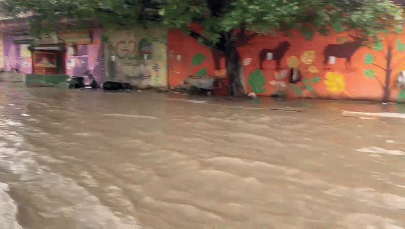 दिल्ली में यहां तक घुस गया यमुना का पानी, जरा मजून का टीला का हाल देखिए
