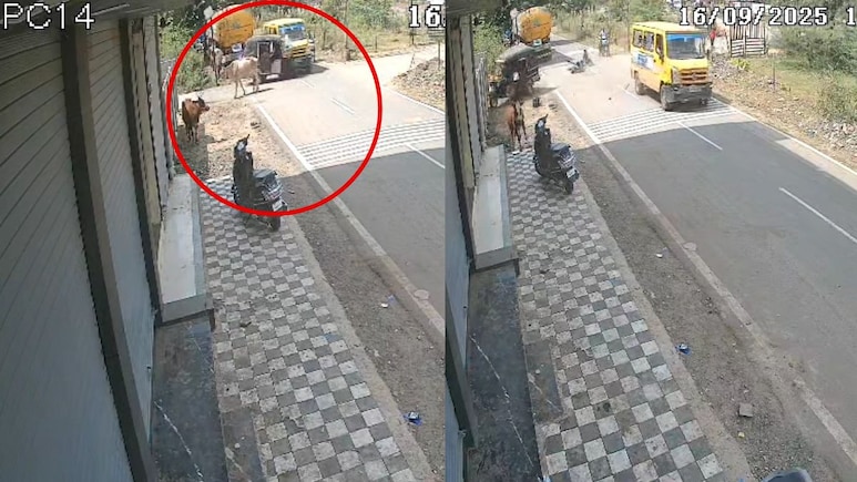 नीमच में बड़ा हादसा: स्कूल बस ने ऑटो को मारी टक्कर, तीन छात्र घायल, CCTV कैमरे में कैद हुआ खौफनाक पल