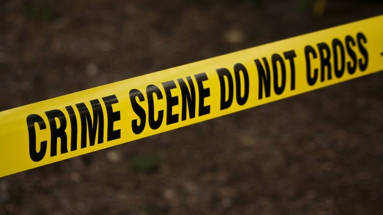 Thane Crime: शेतात खड्डा, त्यात दोघींचे मृतदेह... भयावह घटनेने ठाणे हादरलं Thane Crime: शेतात खड्डा, त्यात दोघींचे मृतदेह... भयावह घटनेने ठाणे हादरलं