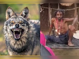 Jodhpur: भेड़िए के काटने के बाद अजीब हरकत कर रहे युवक की मदद के बाद भी नहीं बच सकी जान Jodhpur: भेड़िए के काटने के बाद अजीब हरकत कर रहे युवक की मदद के बाद भी नहीं बच सकी जान