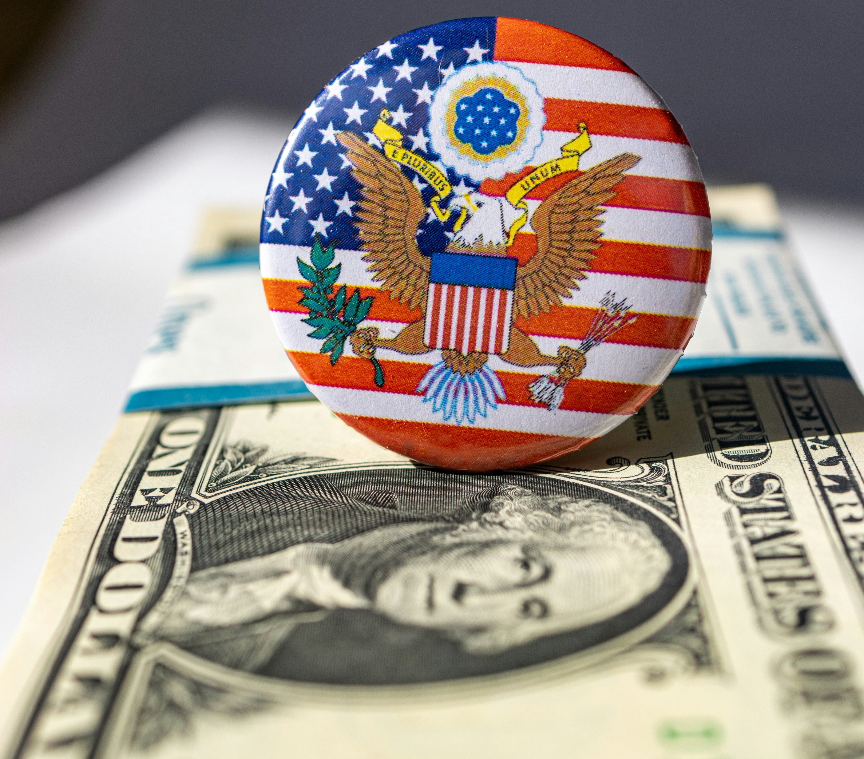'They Need Skilled Foreign Professionals': Experts On How H-1B Visa Could Benefit US