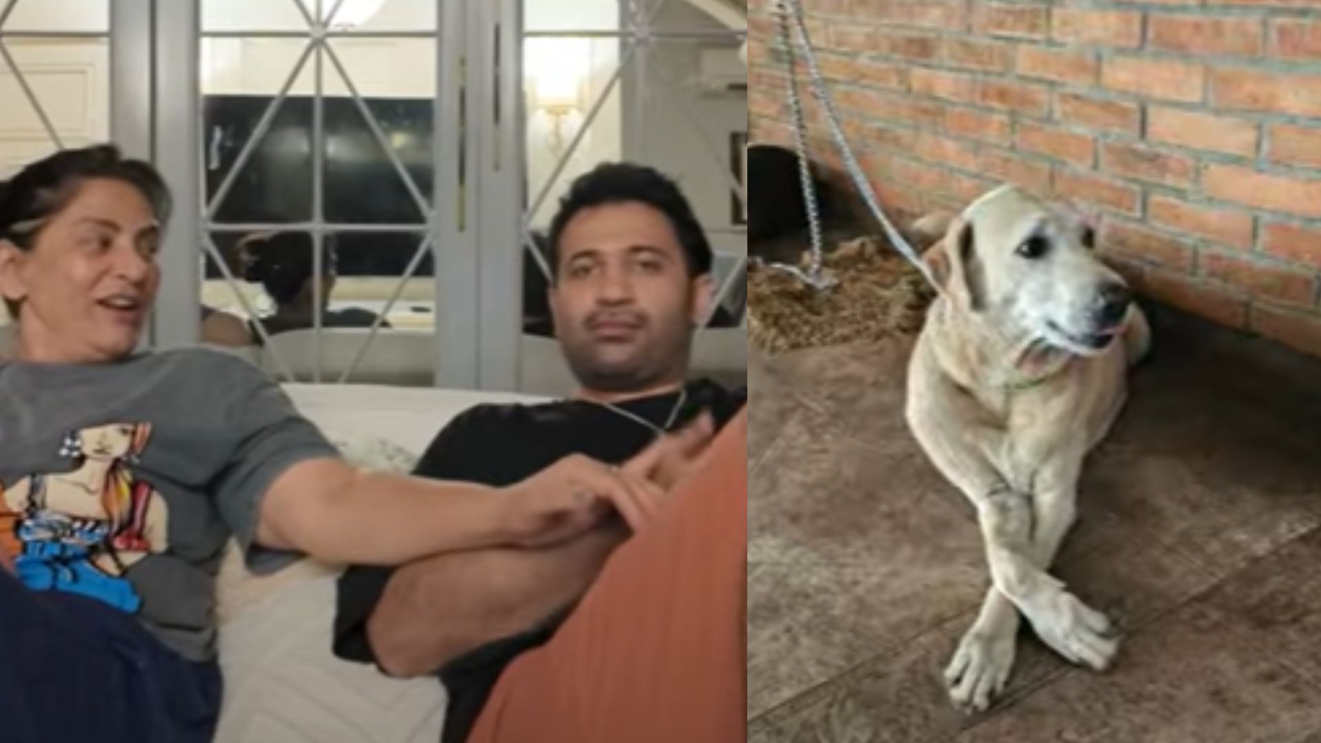 Archana Puran Singh's Pet Dog 'Drama' Dies, Family Bids Farewell With Emotional Tribute