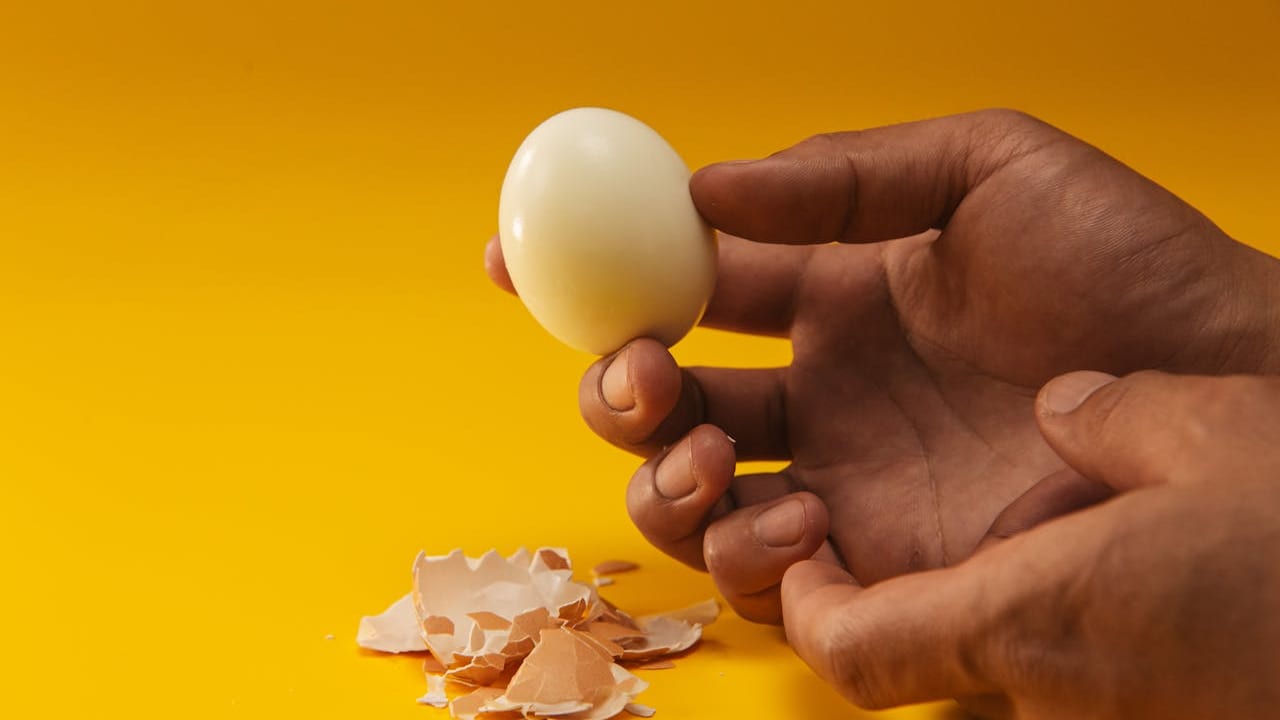 Best Egg Cooker For Easy And Quick Breakfasts