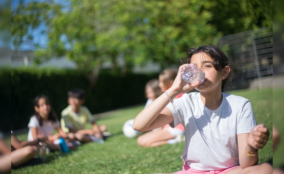 Latest and Breaking News on NDTV