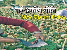 राजस्थान के अफीम किसानों की बल्ले-बल्ले... जारी हुई 2025-26 की नई नीति, जान लें क्या है नई गाइडलाइन राजस्थान के अफीम किसानों की बल्ले-बल्ले... जारी हुई 2025-26 की नई नीति, जान लें क्या है नई गाइडलाइन