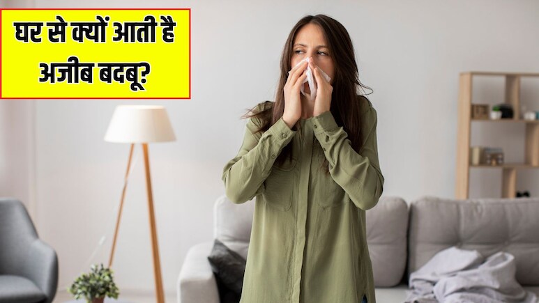 घर में घुसते ही आती है अजीब सी बदबू? यहां जान लें कारण और छुटकारा पाने का तरीका