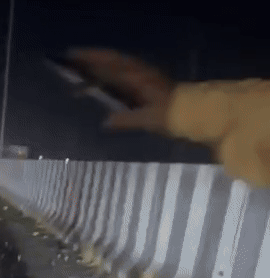 VIDEO: ये कैसा गुस्‍सा... पूरे एक्सप्रेसवे पर बिछा दीं कीलें, कई कारों के टायर हुए पंक्‍चर