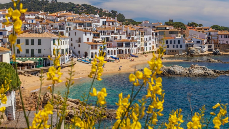Want To Live In Spain? The Country Is Offering A Permanent Residency And Indians Can Apply Too