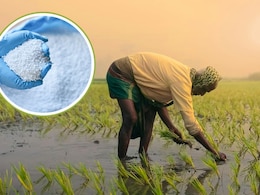 छत्तीसगढ़ के किसानों के लिए बड़ी राहत, इस माह 60,800 मीट्रिक टन यूरिया का होगा आवंटन