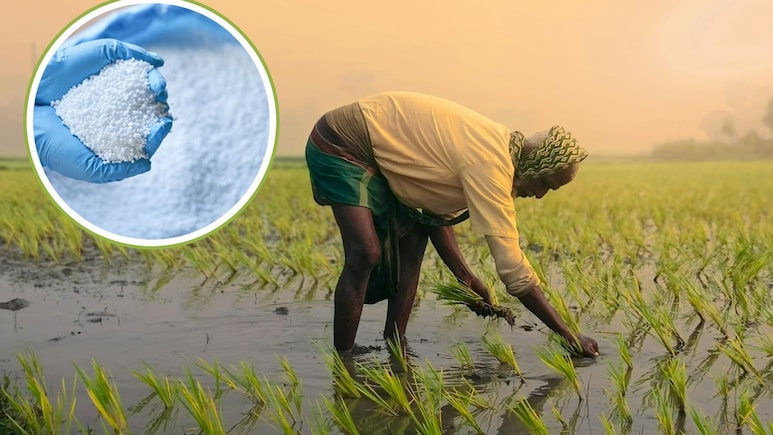 छत्तीसगढ़ के किसानों के लिए बड़ी राहत, इस माह 60,800 मीट्रिक टन यूरिया का होगा आवंटन