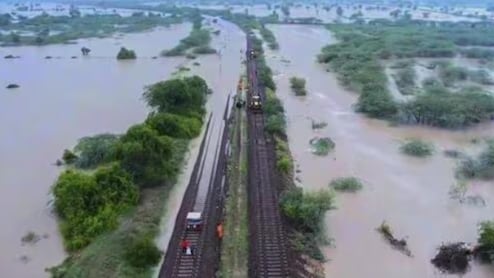 Rain In Rajasthan: पानी-पानी राजस्थान, कई जिलों में भारी बारिश, माउंट आबू के आसपास 15 डैम ओवरफ्लो हुए 
