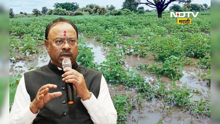 Big News: मोठी बातमी! शेतकऱ्यांना मोठा दिलासा, पीक पाहणीला महिनाभराची मुदतवाढ