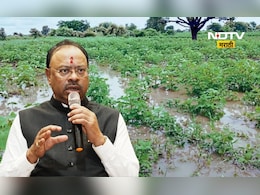 Big News: मोठी बातमी! शेतकऱ्यांना मोठा दिलासा, पीक पाहणीला महिनाभराची मुदतवाढ Big News: मोठी बातमी! शेतकऱ्यांना मोठा दिलासा, पीक पाहणीला महिनाभराची मुदतवाढ