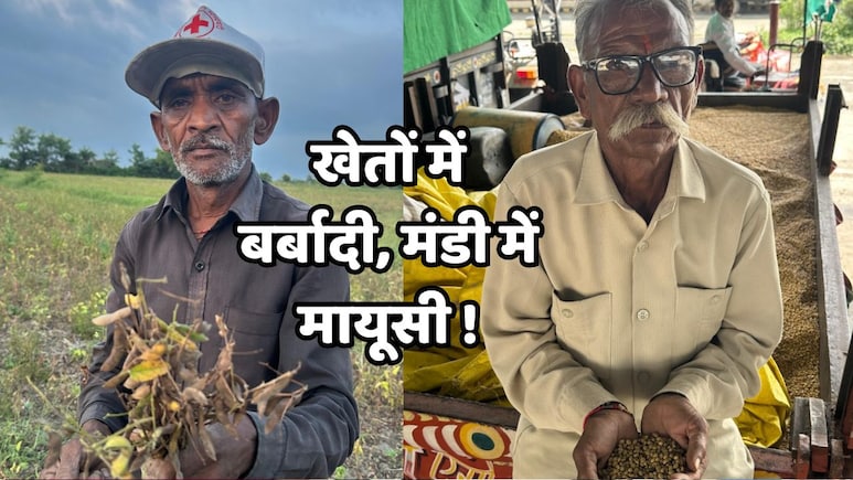 MP के सोया किसान संकट में: MSP 5328, पर मिल रहे 3800, क्या भावांतर से बदलेंगे हालात?