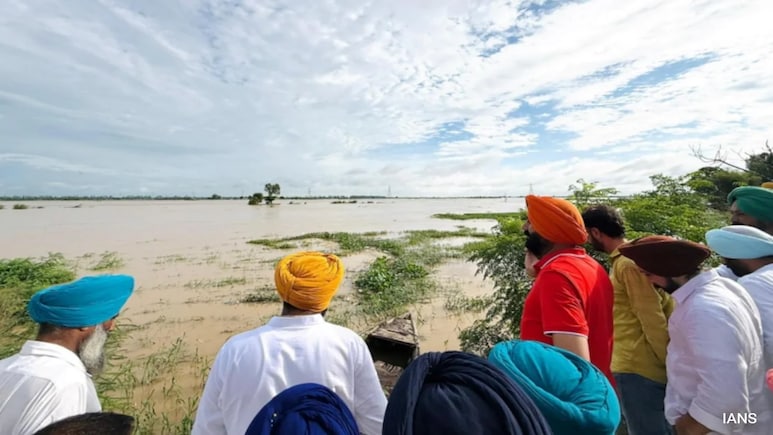 Punjab Floods: 29 Killed, 2.5 Lakh People Impacted In 1 Month Punjab Floods: 29 Killed, 2.5 Lakh People Impacted In 1 Month