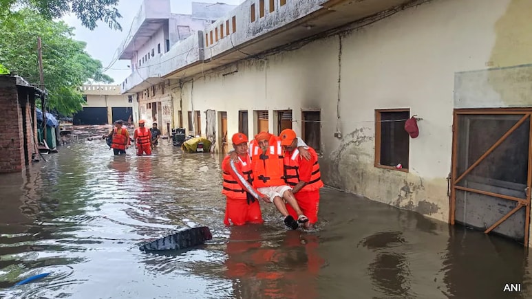 30 Killed, 3.5 Lakh Affected: Flood-Hit Punjab Shuts Educational Institutions Till September 7 30 Killed, 3.5 Lakh Affected: Flood-Hit Punjab Shuts Educational Institutions Till September 7