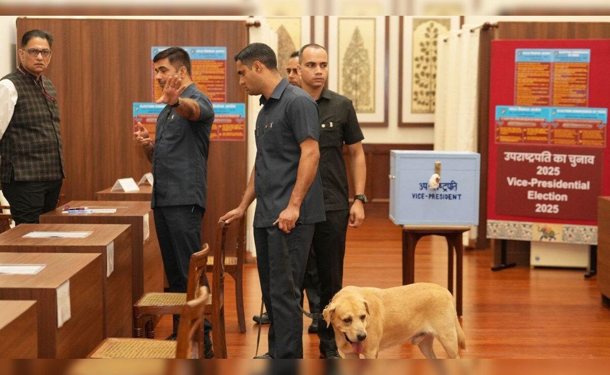 Access Denied Access Denied